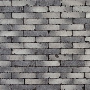 Clayville Antwerpen 200x48x60 mm (Getrommeld)