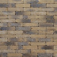 Clayville Arnhem 200x48x60 mm (Getrommeld)