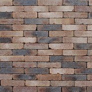Clayville Maastricht 200x48x60 mm (Getrommeld)
