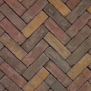 Gebakken dikformaat WS Oud Elim 200x65x65 getrommeld
