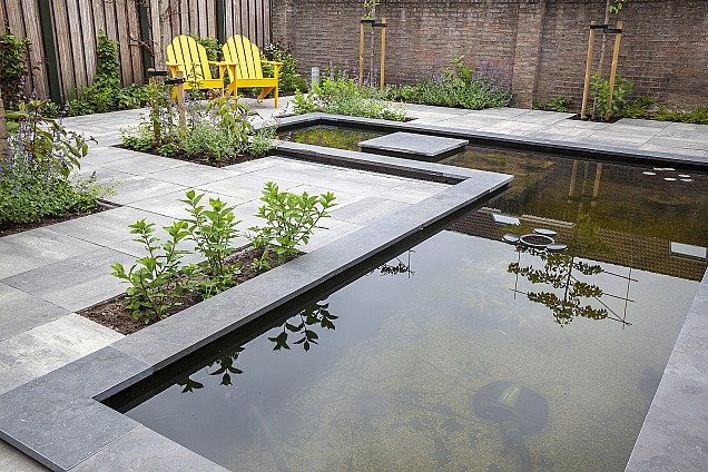 Vijverrand Blue Moon Honed Linea 100x25x3 cm