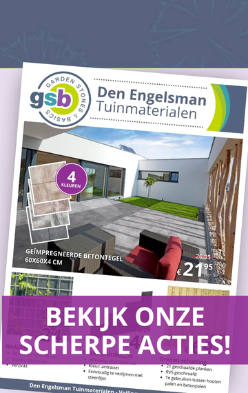 teaser website den engelsman